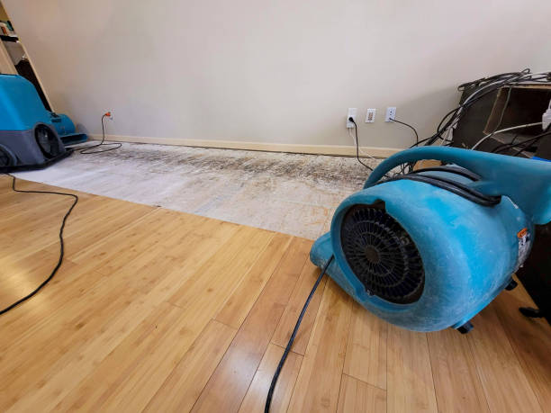 Professional Sewage Cleanup technician working in Capron, IL